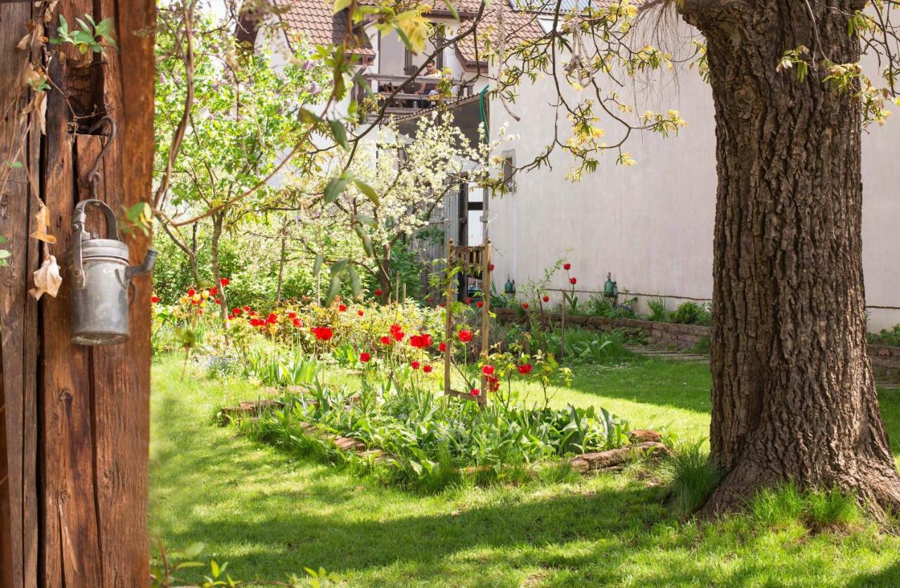 Mango Rooms Brašov Exteriér fotografie