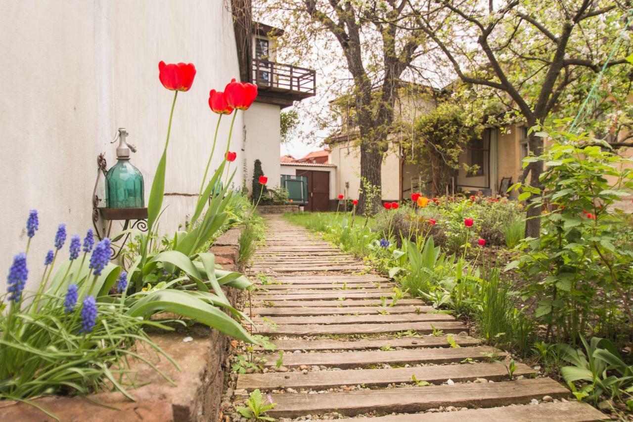 Mango Rooms Brašov Exteriér fotografie